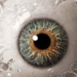 Meet your Posher, Shane